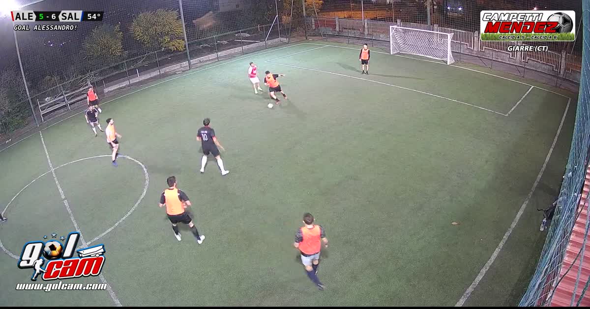 Gol  bellogsjskns