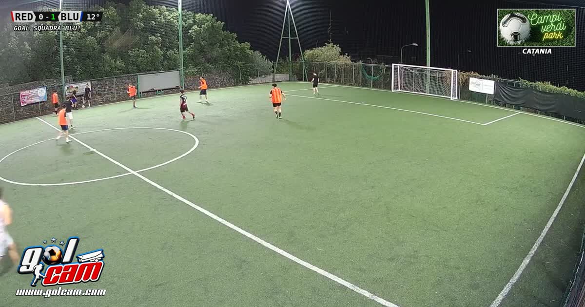 gol turi
