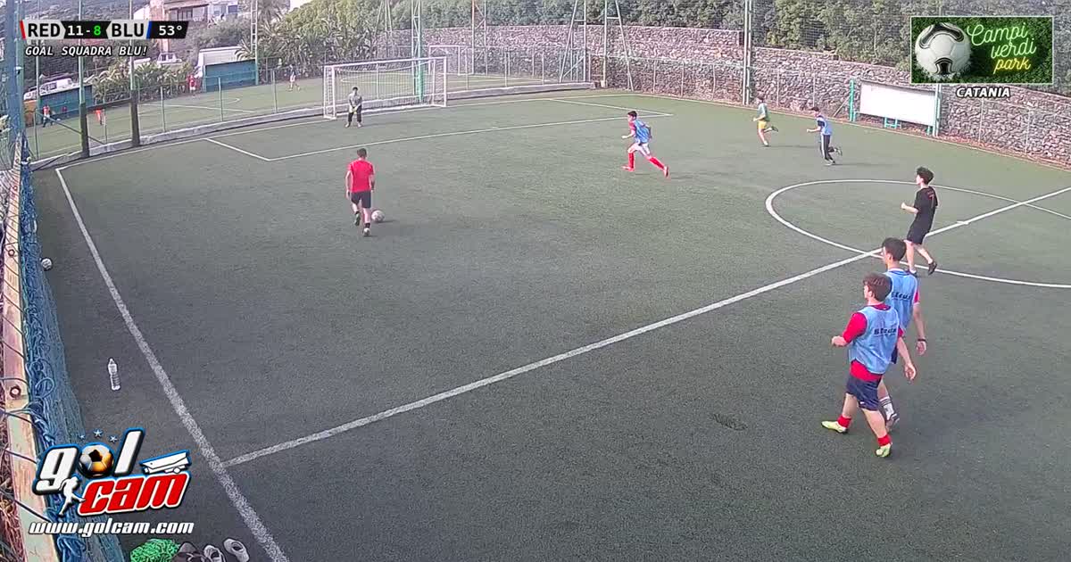 Gol dalla linea