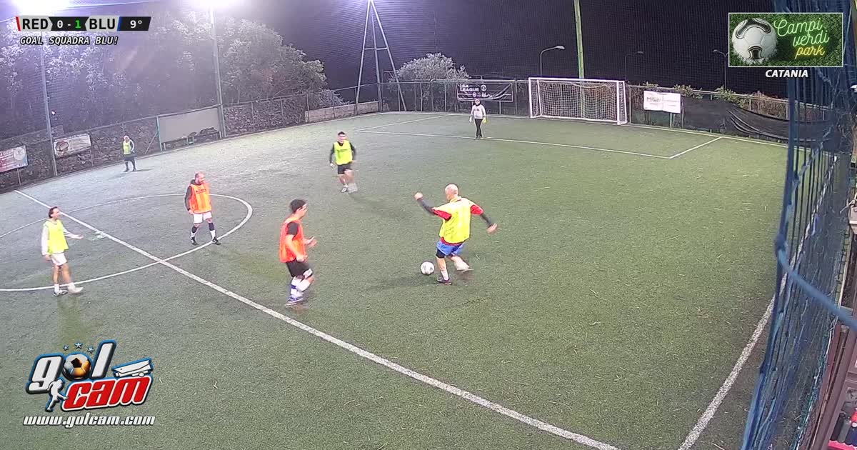 Palo Goal 