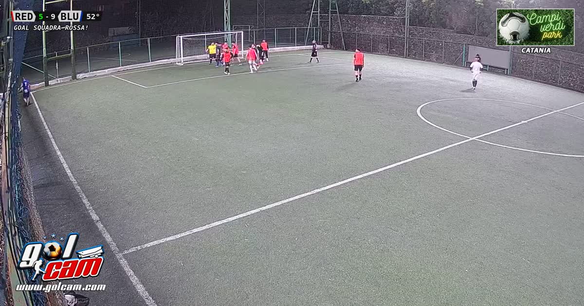 Tiro al volo