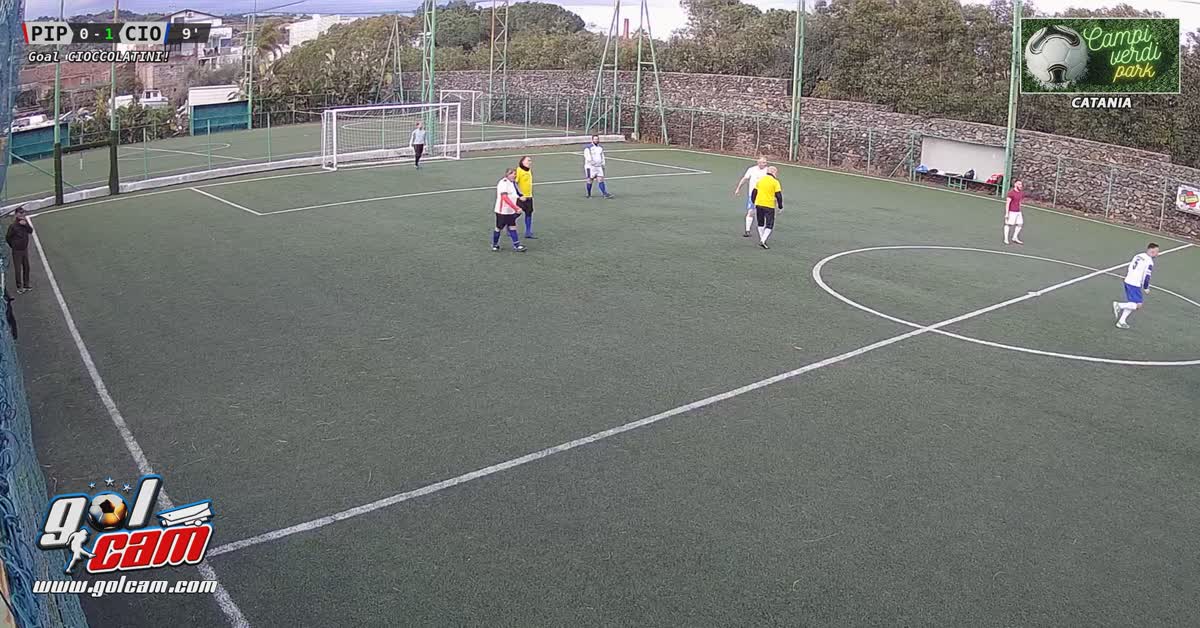 Goal 1