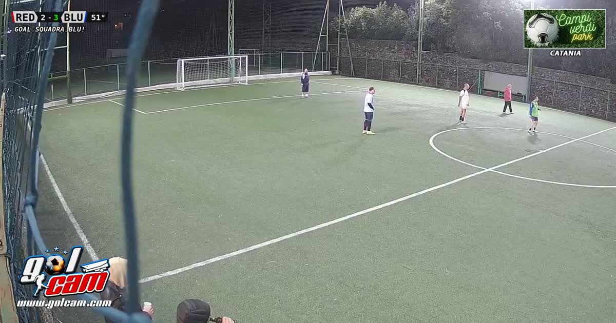 Zanetti goal