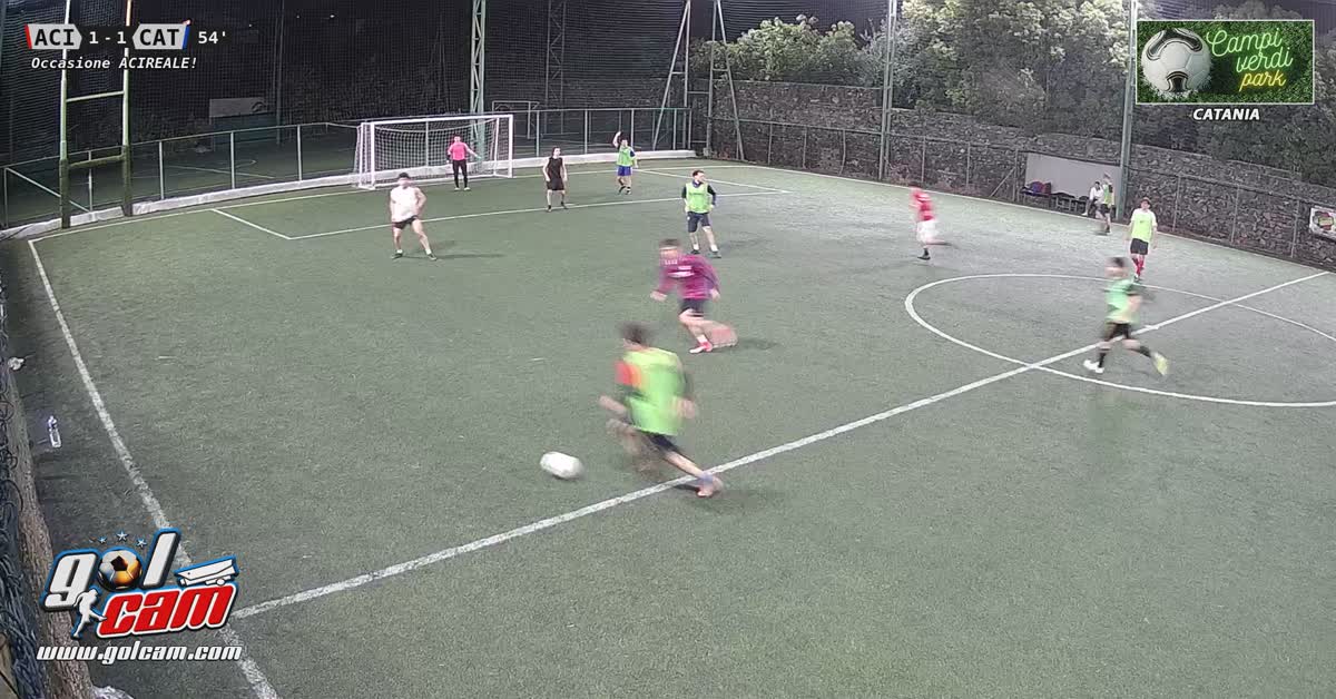 Aci-Cat 2-1