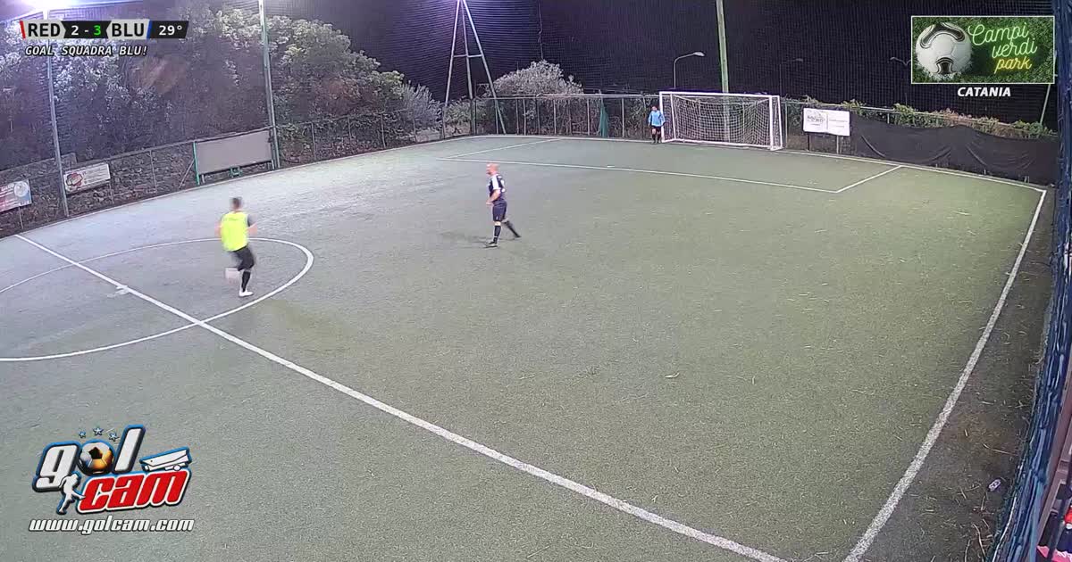 Tiro al volo