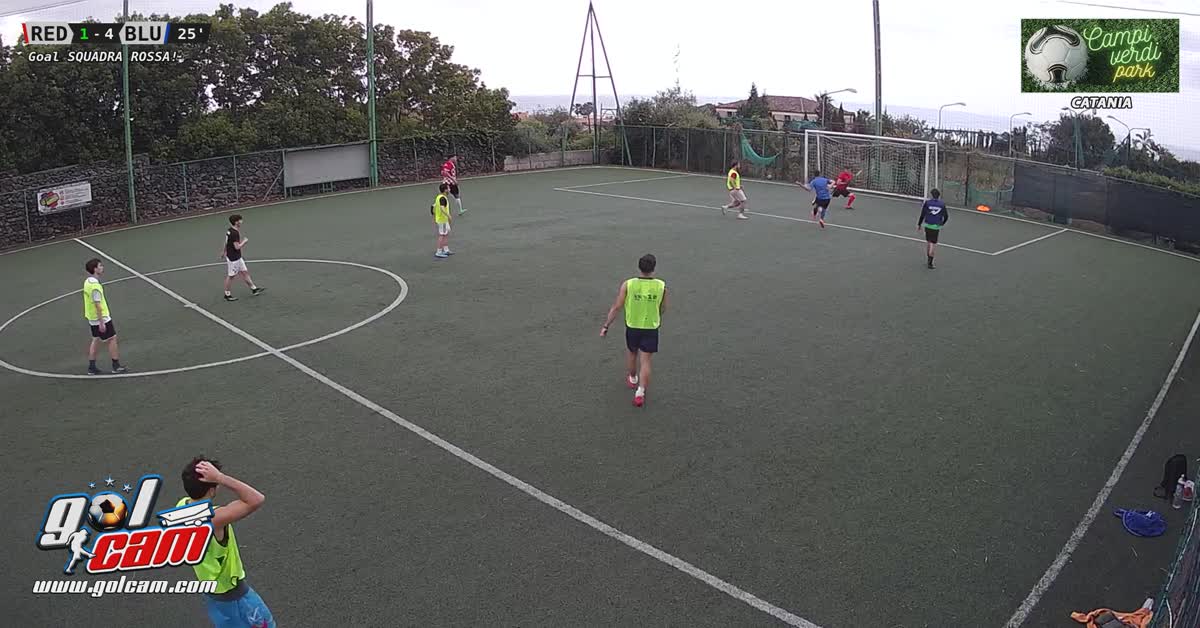 Gol al purti