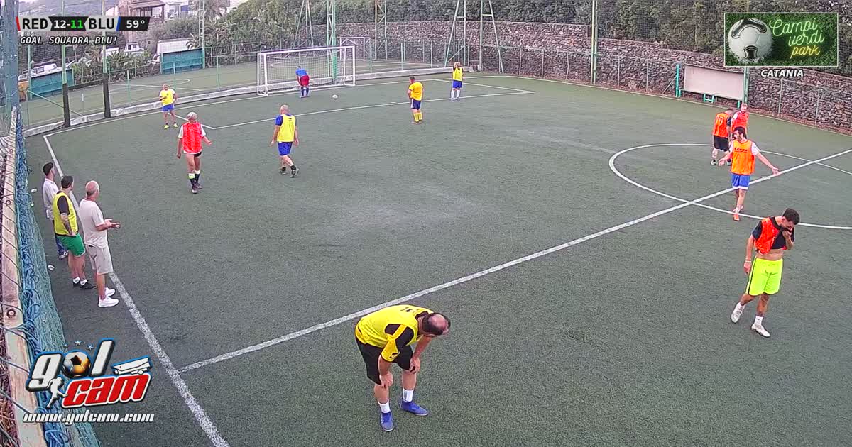 Opportunistaegol