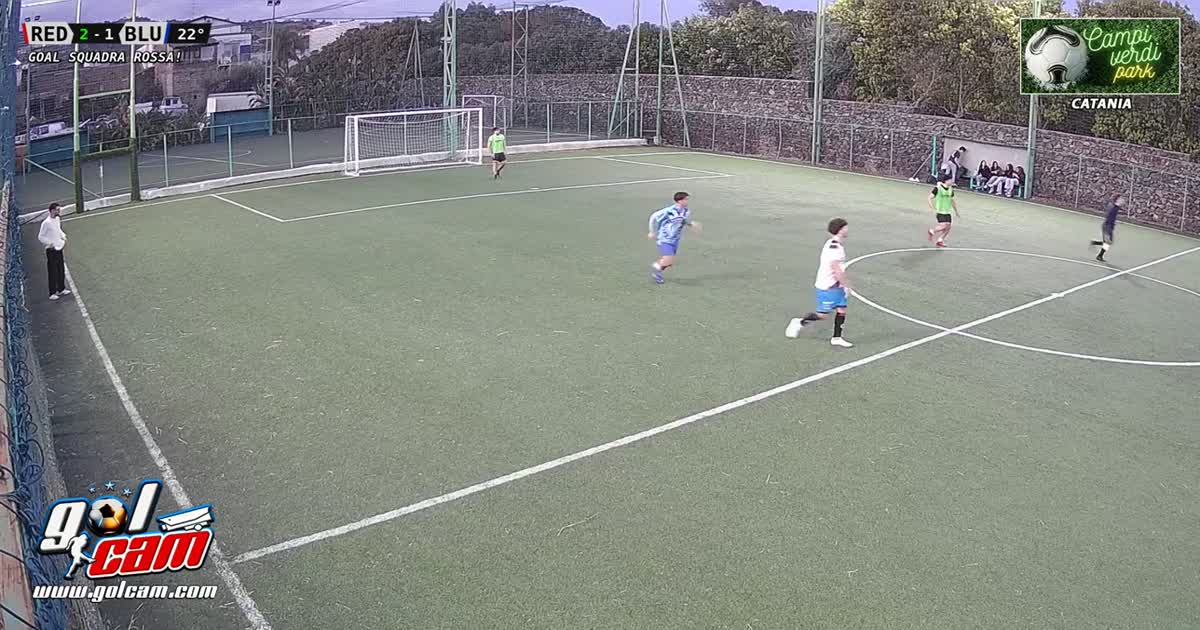 1 goal 