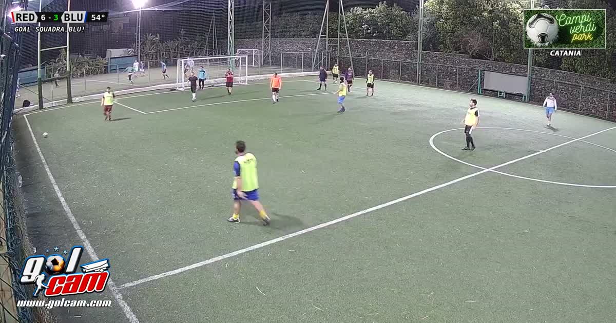 Tiro al volo