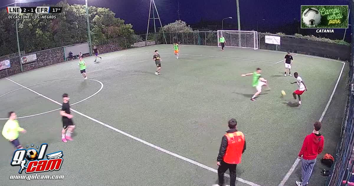 Tiro al volo