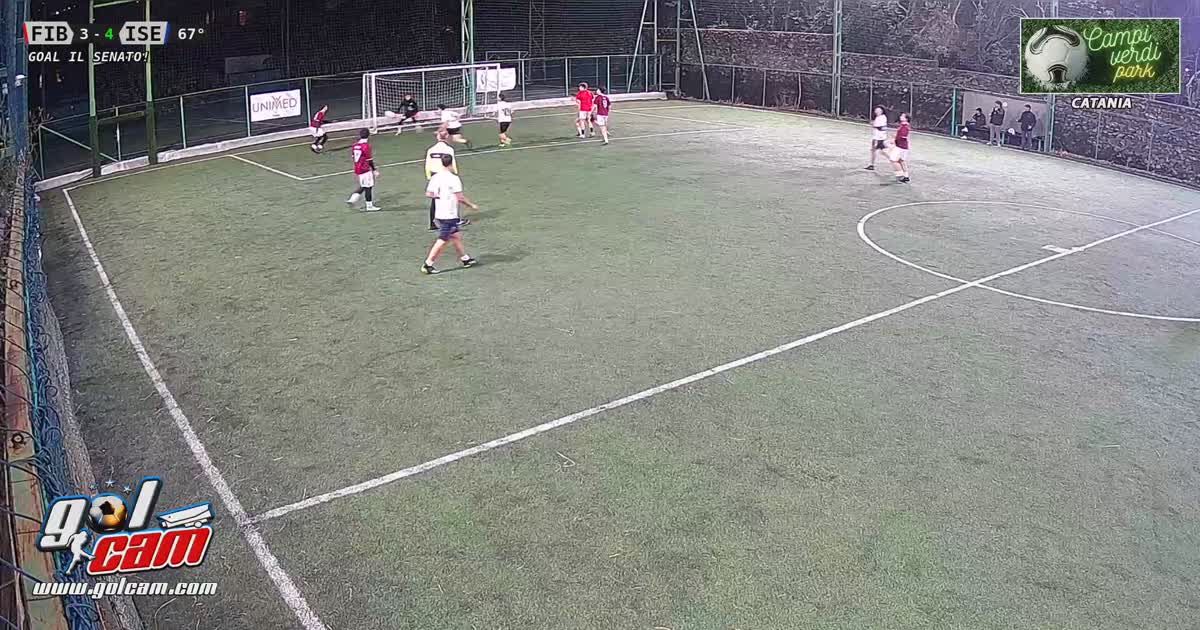 Tiro al volo