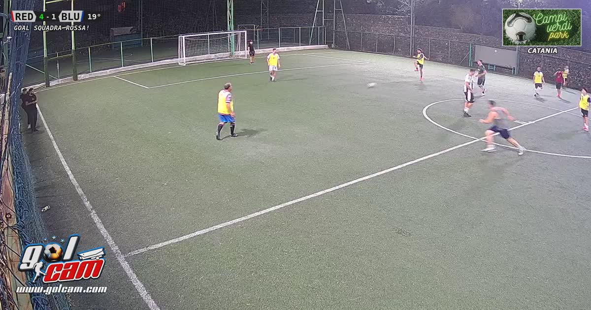 Ale goal