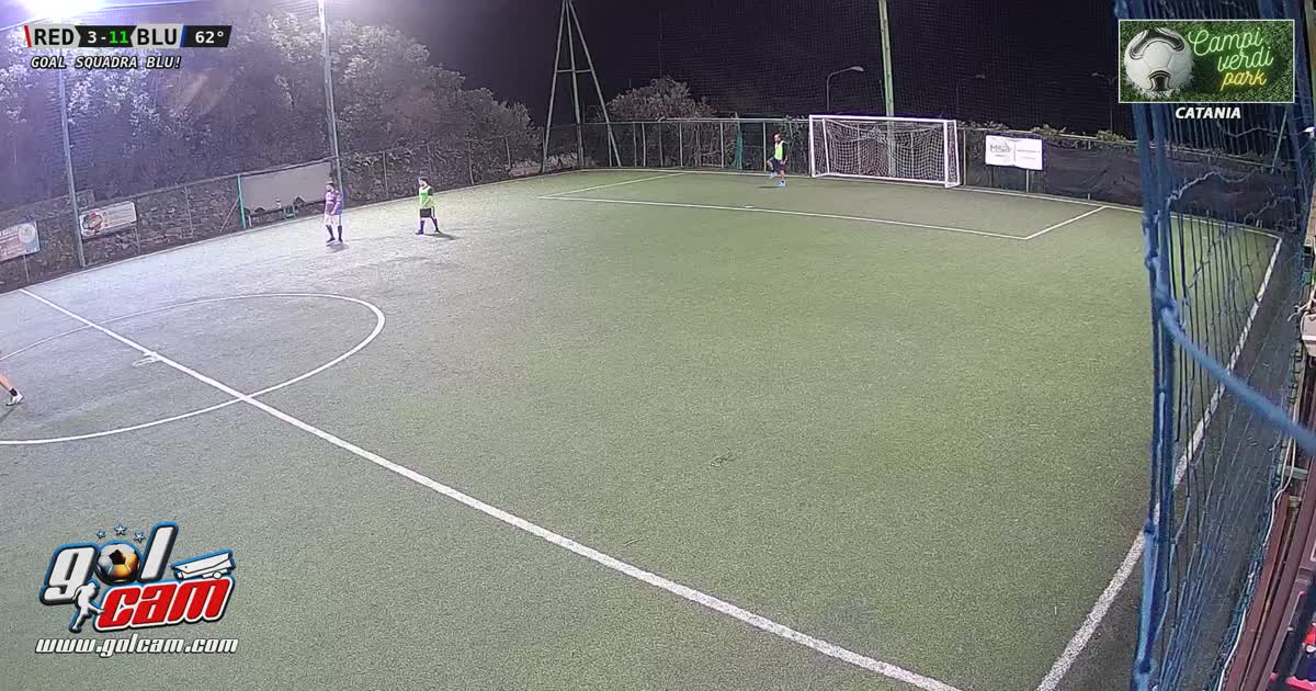 Gol seby