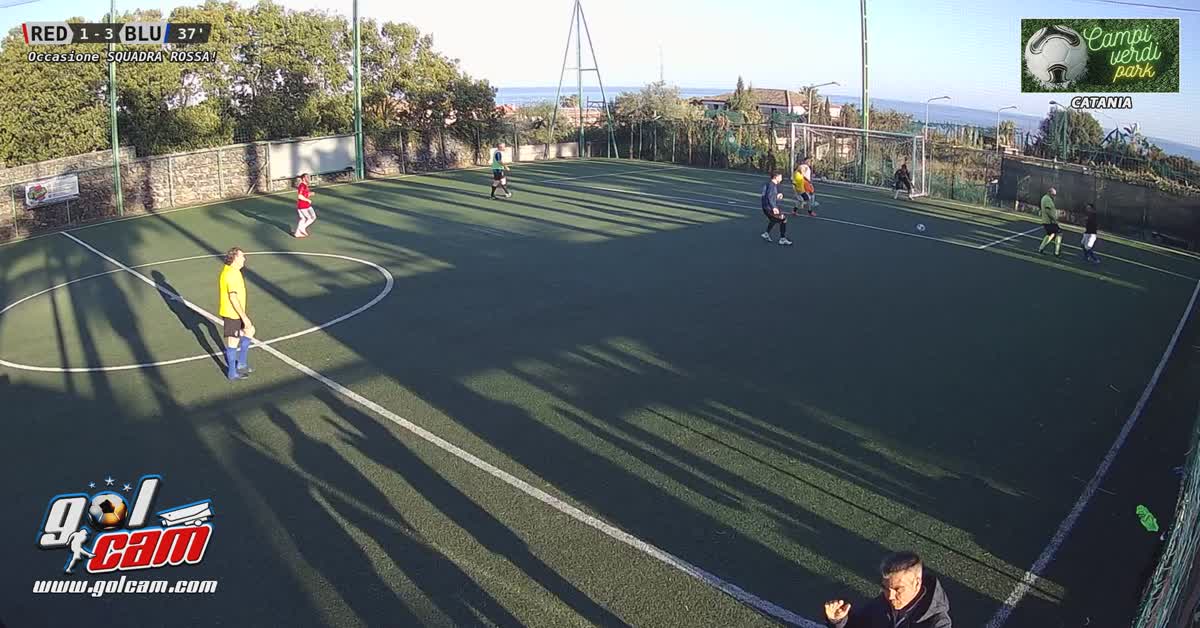 Occasionepersa