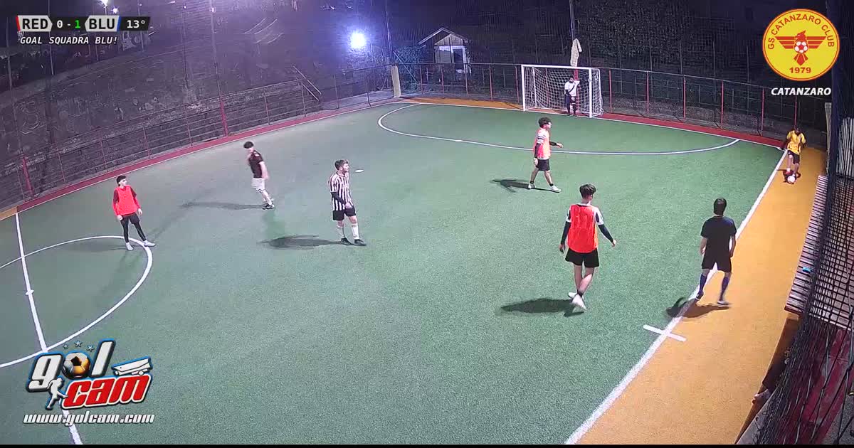goal giovane erbino