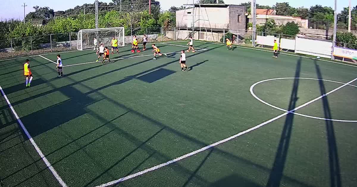 Amichevole jonia