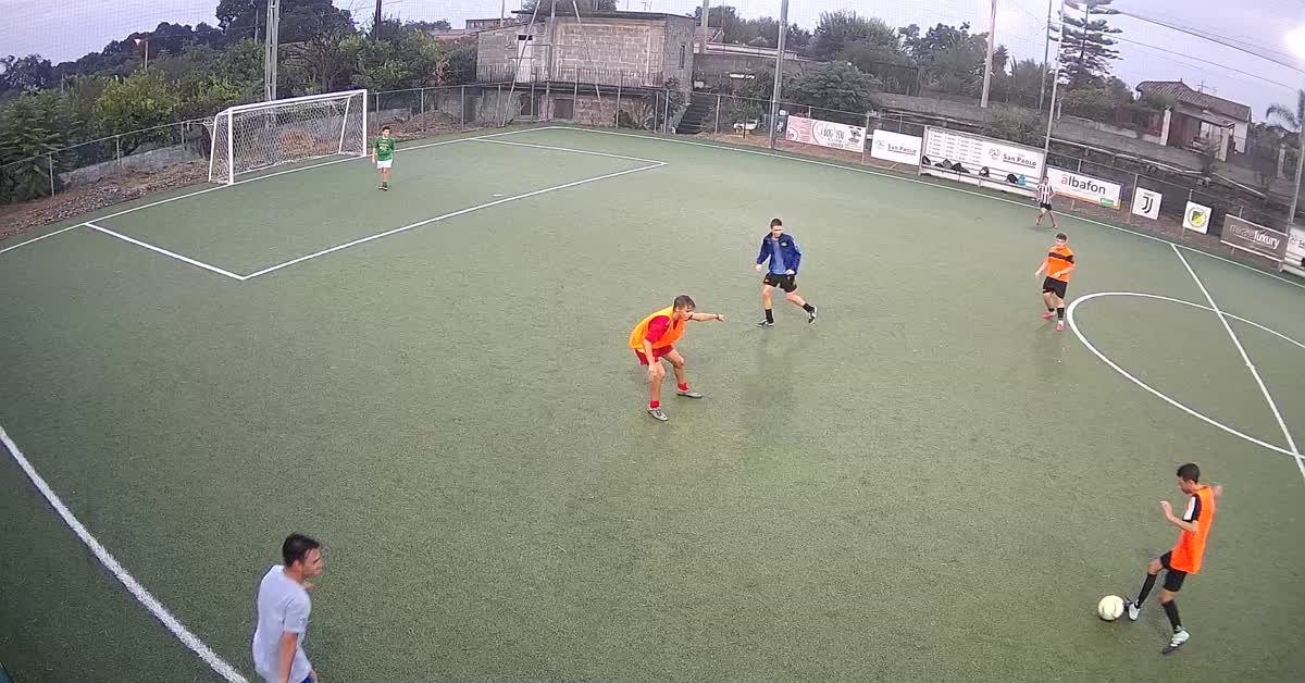 mostrigolpalo