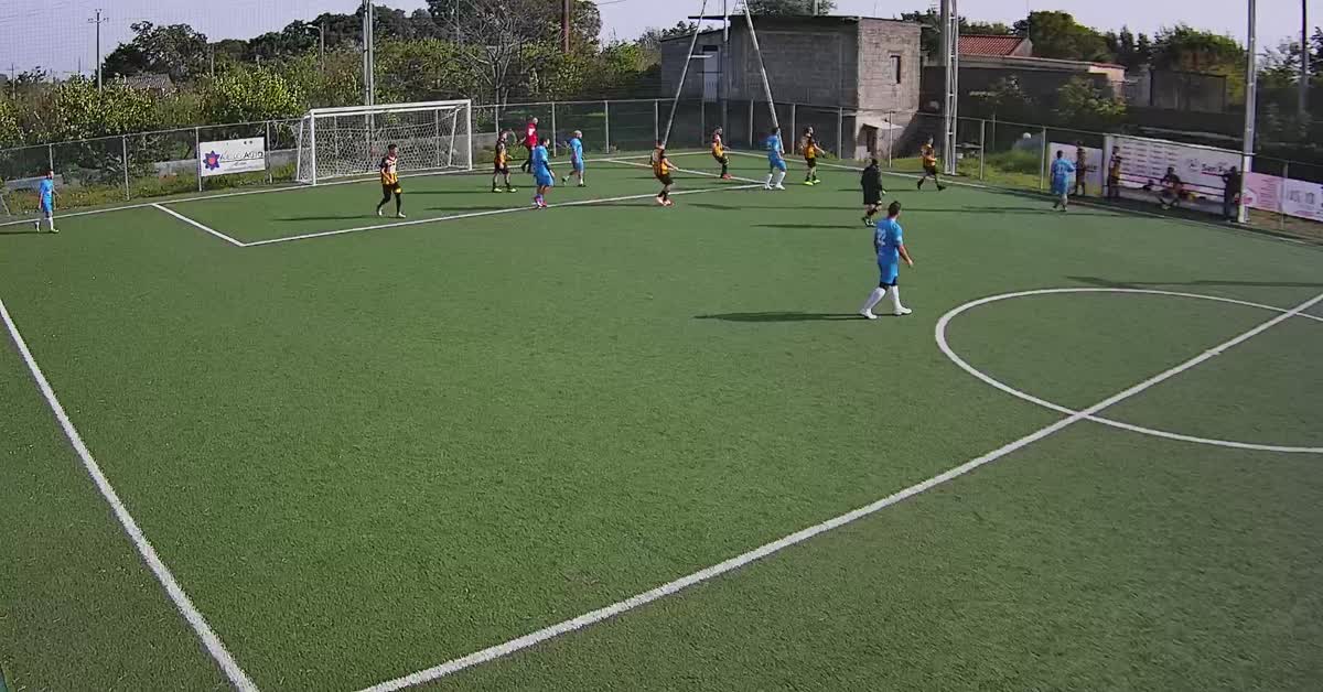 Volare