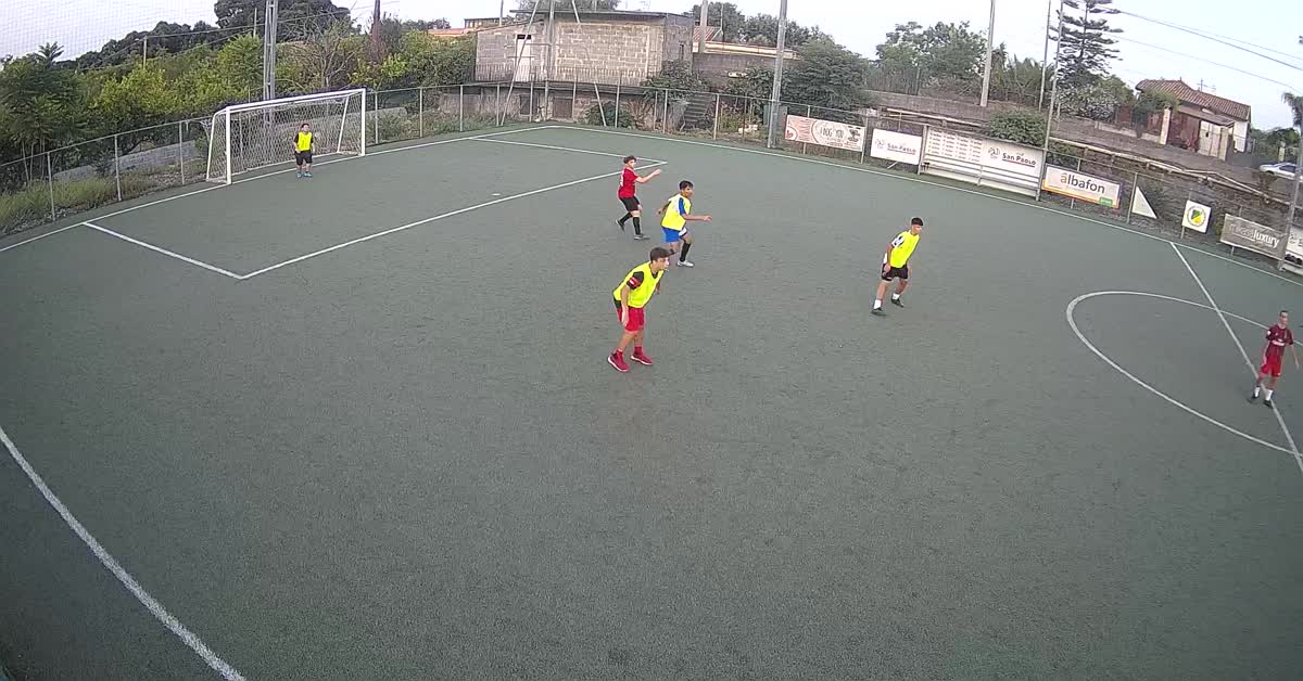 Palo al volo