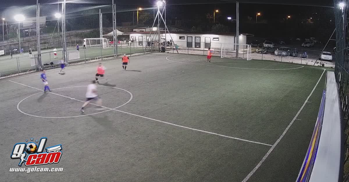Goal 7