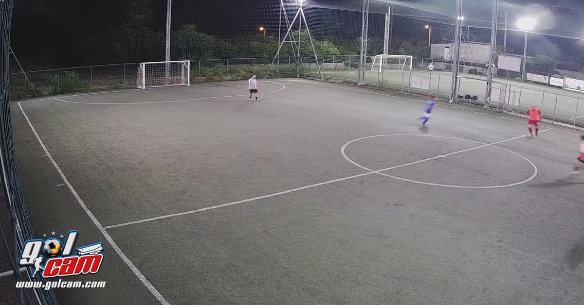 Goal 8