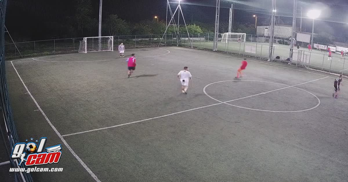 Goal 4
