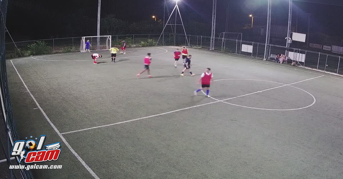 Goal 4