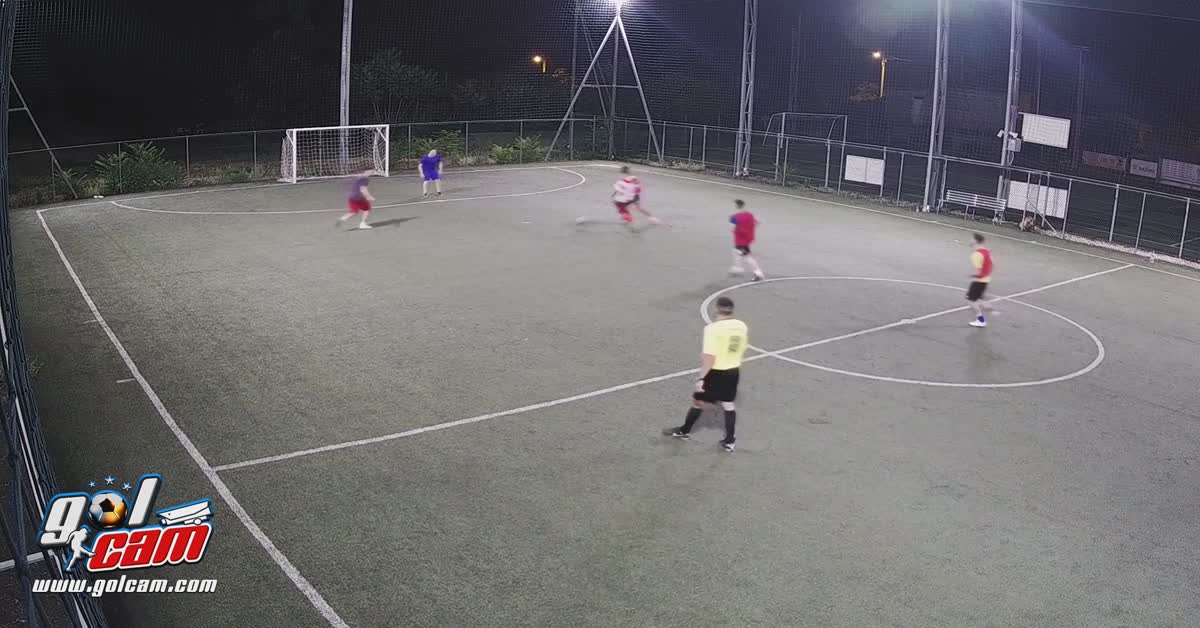 Goal 12