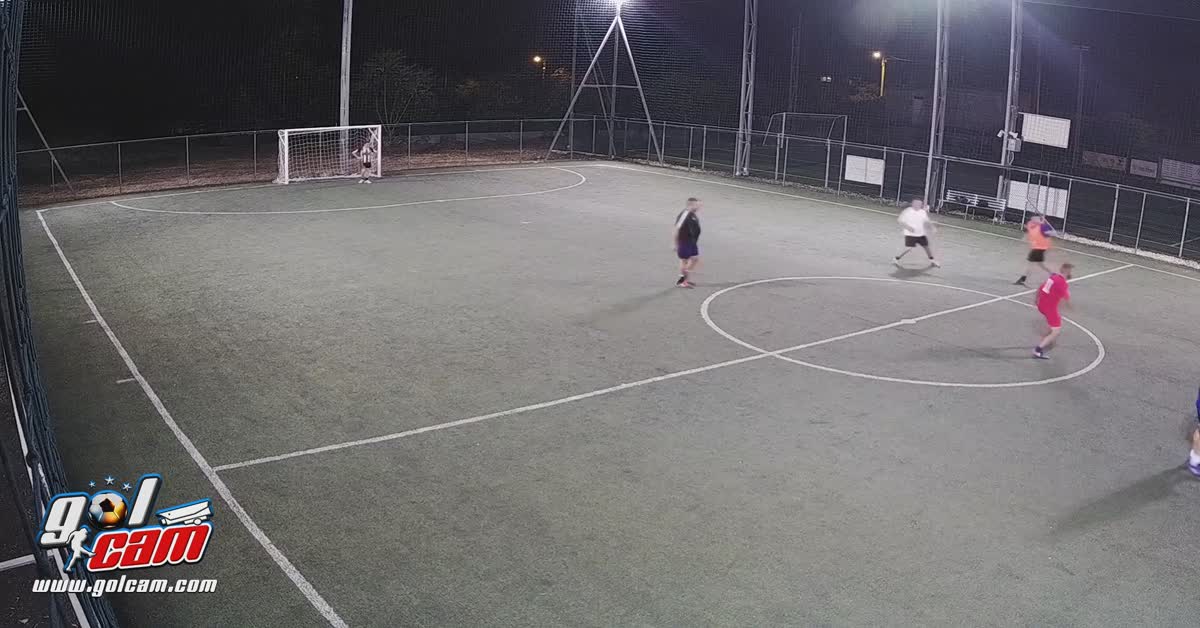 Goal 12