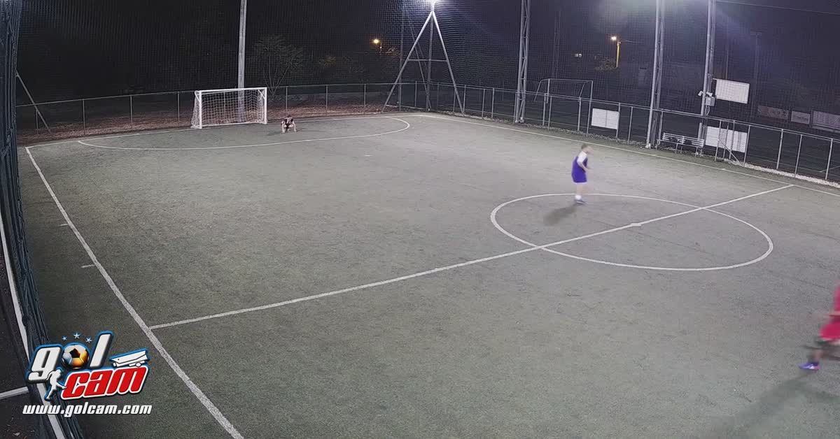 Goal 3