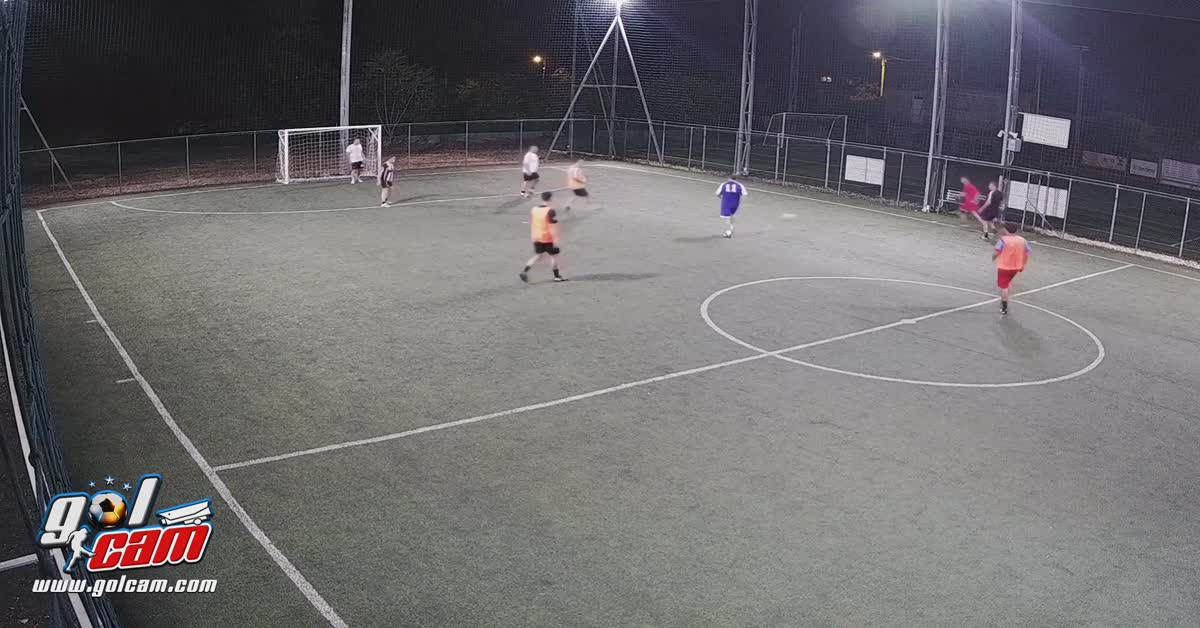 Goal 4