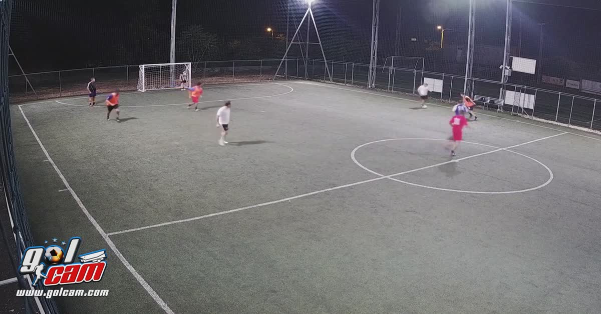 Goal 4