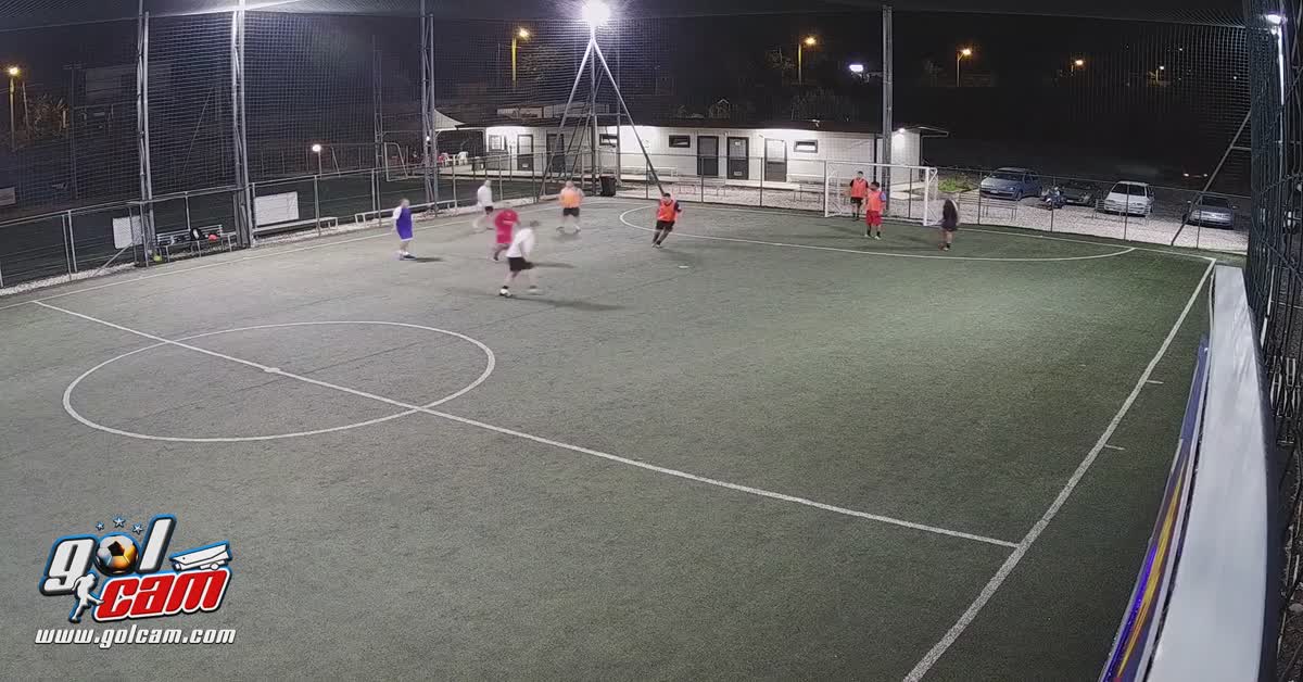 Goal 4