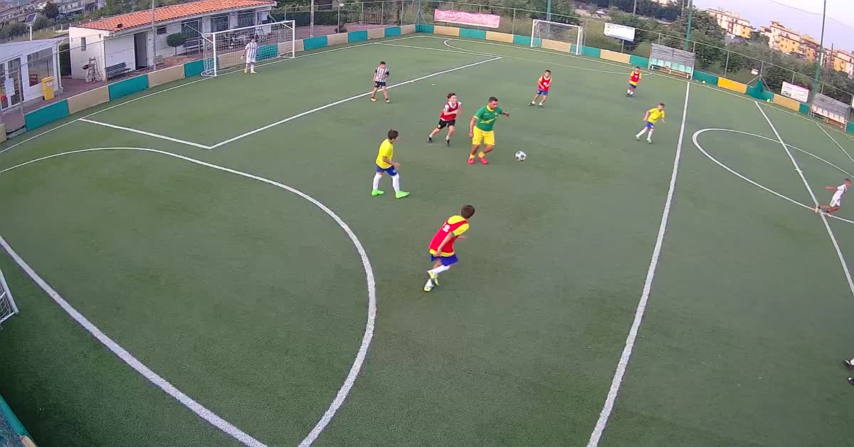 Goal 7