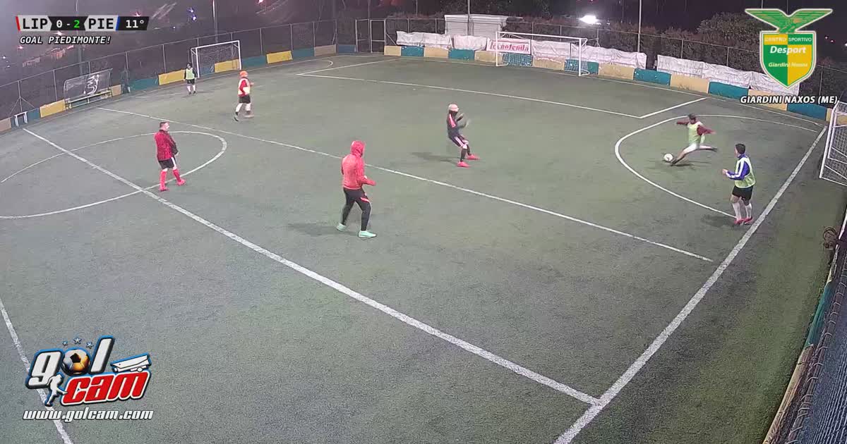 Goal 1