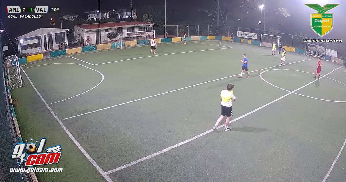 Gol opportunista 