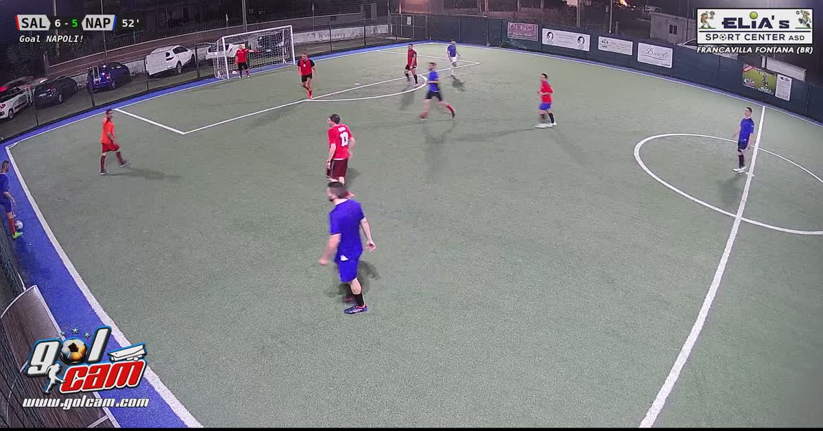 1-2citogemma