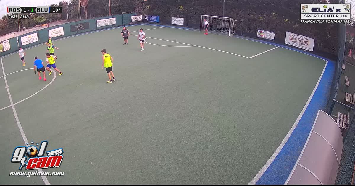 Goal 1