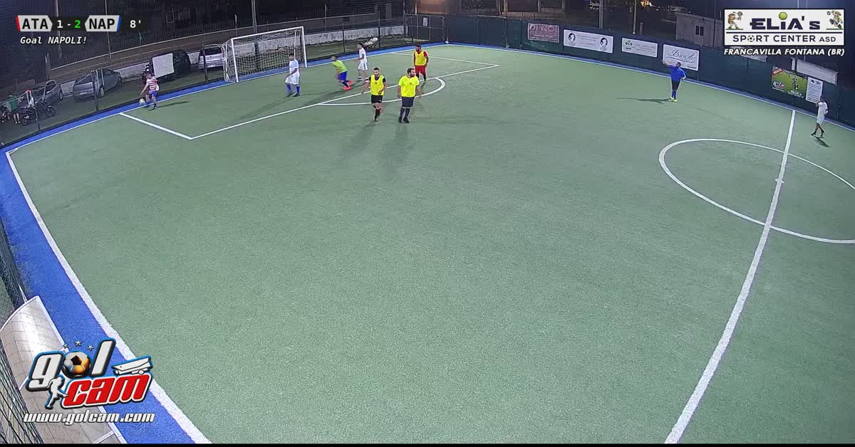 Partita amichevole