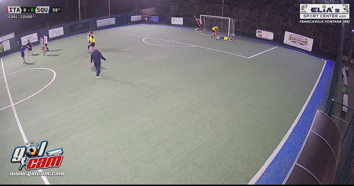 goal 4