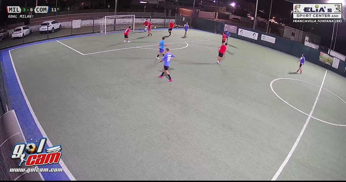 Gol  al volo