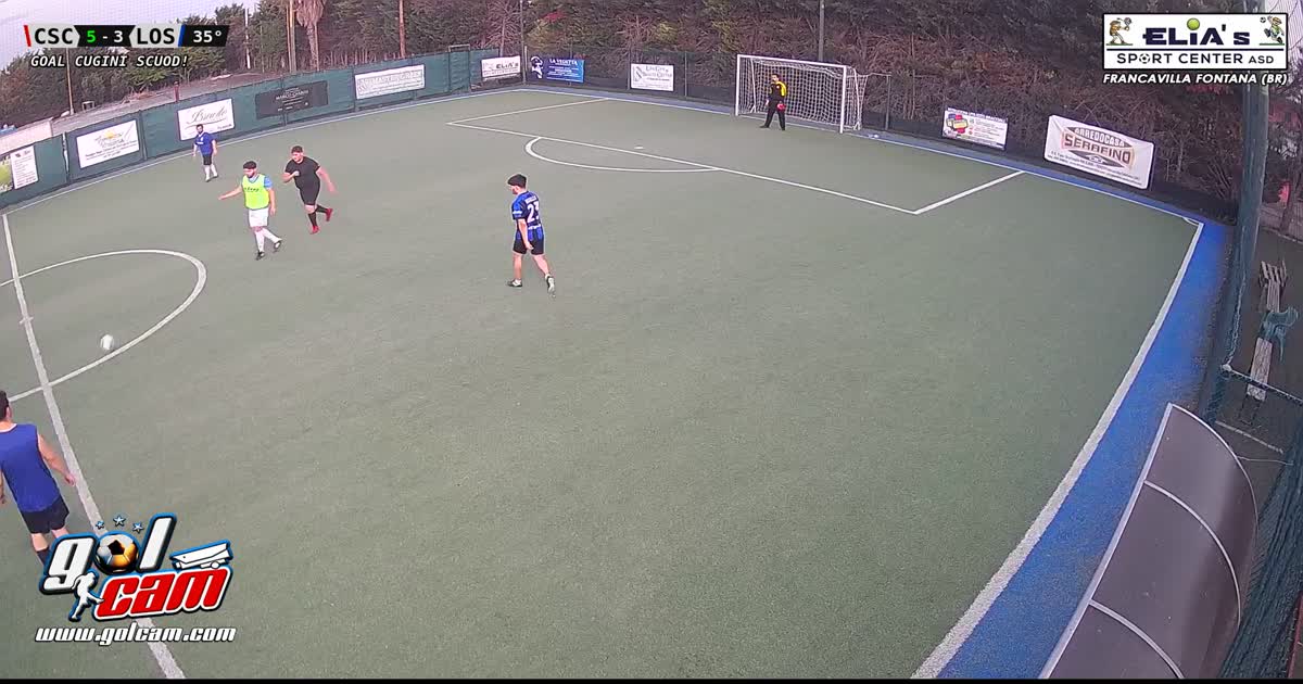 goal 4