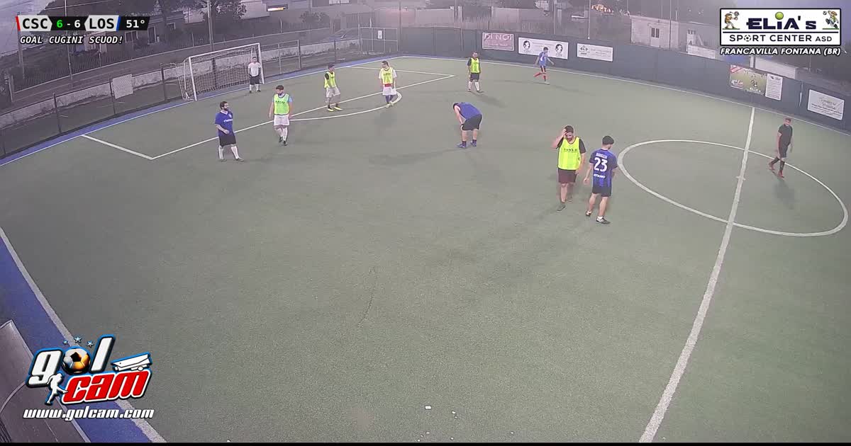 goal 5