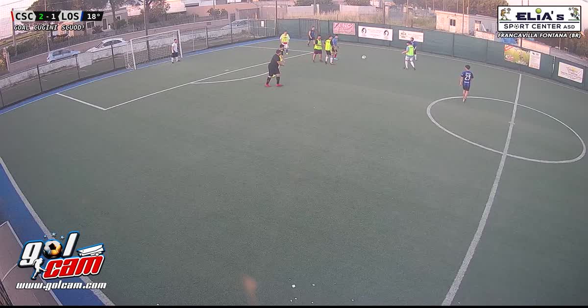 goal 1