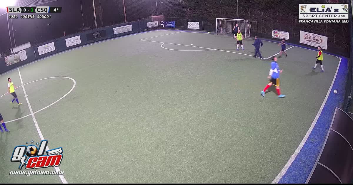 goal 1