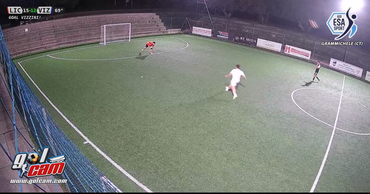 Traversa-Goal