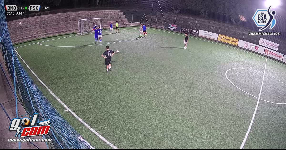 Palo gol
