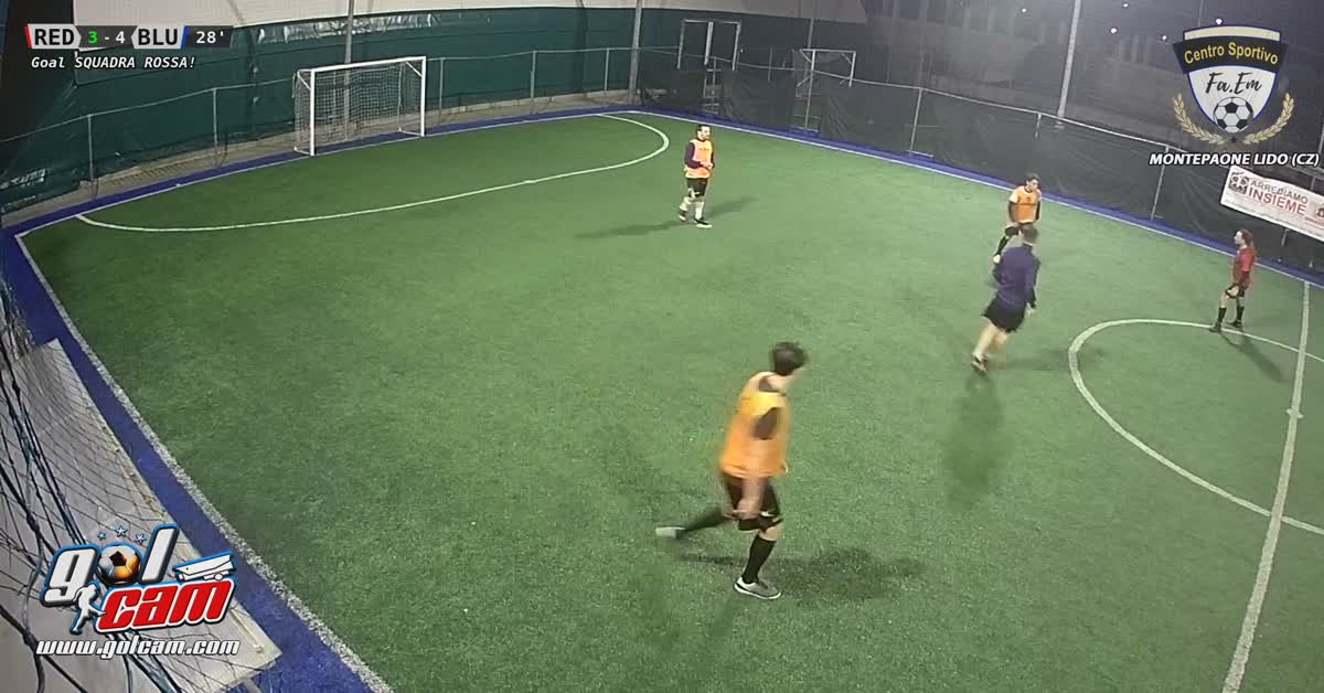 Goal 7