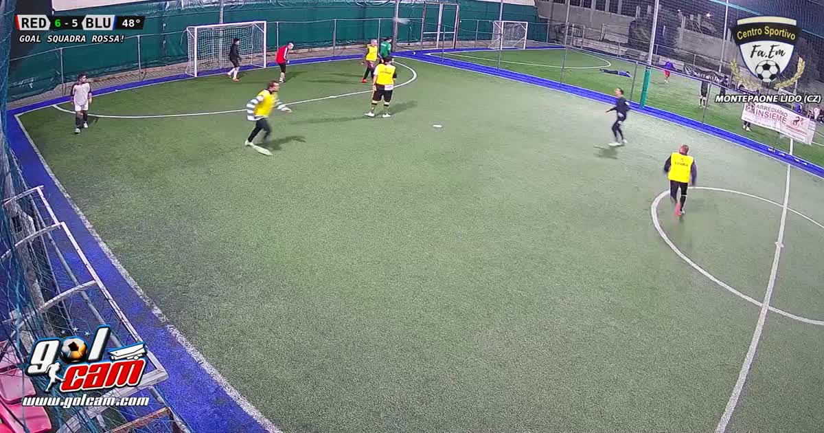 Palo gol 