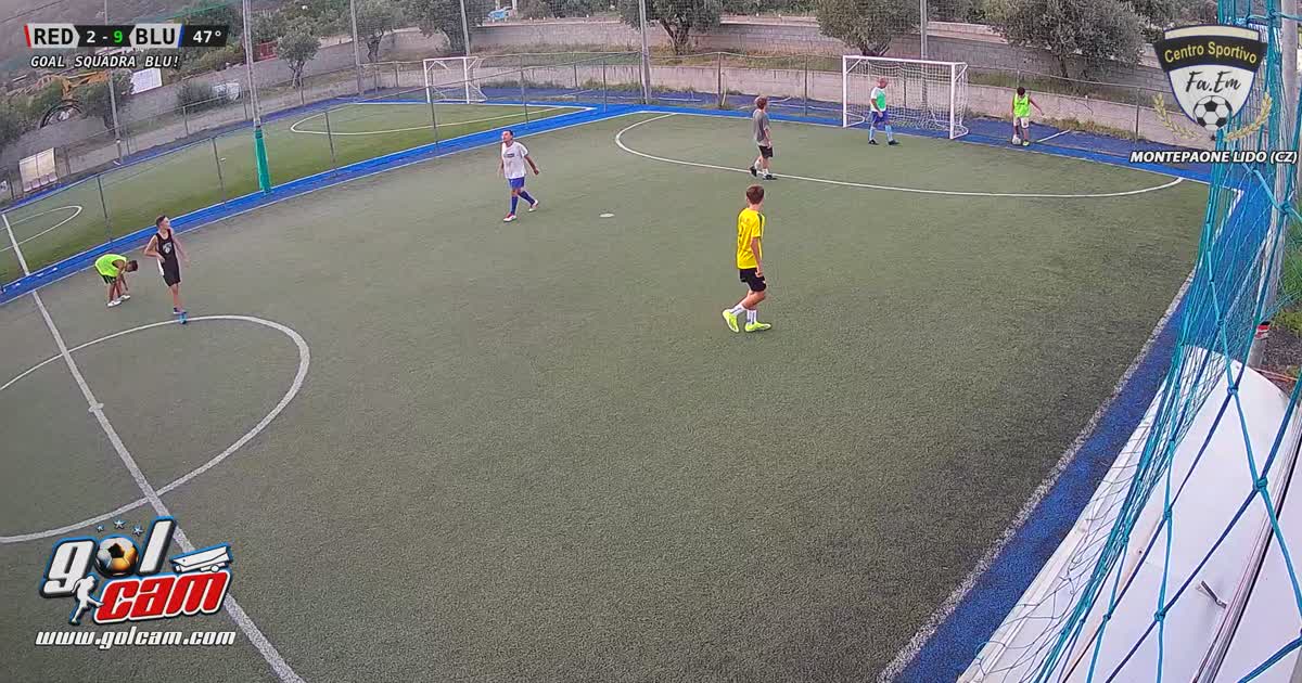 Goal 11